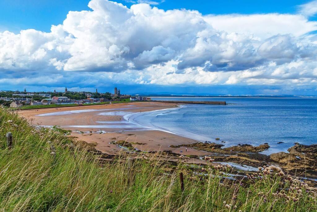 Lovely House & Garden, Short Walk To Town & Beach. St Andrews Exteriér fotografie